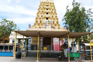 covid-effect-on-the-revenue-of-the-penuganchiprolu-sri-tirupatamma-temple