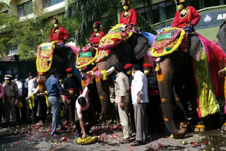 special pooja to Ambari Elephant Abhimanyu  at Mysore