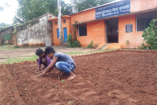 nutrition garden in umaraiya