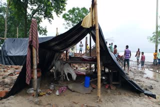 ganga destroys houses in Maldah