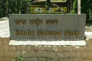 Kanha National Park