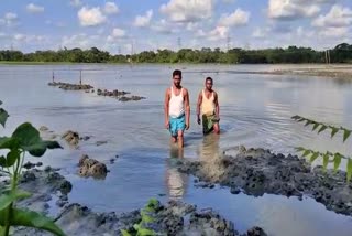 Flood destroyed Paddy fields in Rangia