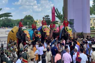 dasara elephants