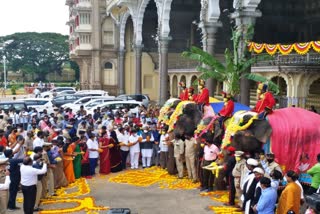 Dussehra elephant arrives at Mysuru Palace