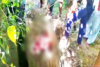 Sikar News, सीकर न्यूज, Dead body found in a well in aloda