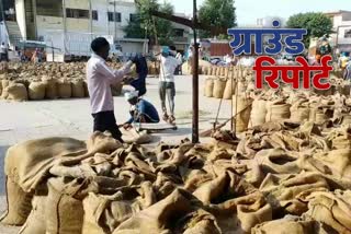 farmers selling their paddy