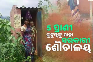 keonjhar latest news, life in toilet, raibari munda of keonjhar, grief of raibari munda, raibari's family in toilet, କେନ୍ଦୁଝର ଲାଟେଷ୍ଟ ନ୍ୟୁଜ୍‌, ଶୌଚାଳୟରେ ଜୀବନ, କେନ୍ଦୁଝରର ରଇବାରୀ ମୁଣ୍ଡା, ରଇବାରୀ ମୁଣ୍ଡାଙ୍କ ଦୁଃଖ, ପାଇଖାନାରେ ରଇବାରୀଙ୍କ ପରିବାର