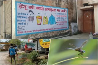 Dengue Awareness Campaign
