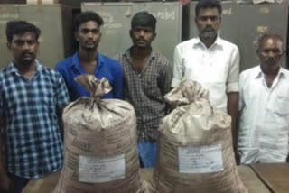 madurai cannabis seized