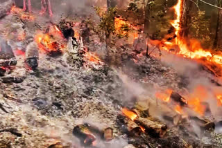 Calif. wildfires