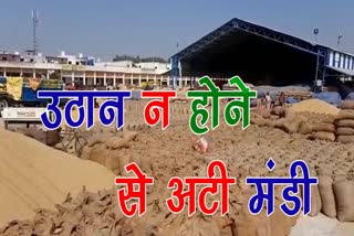 yamunanagar farmers problems in radaur grain market