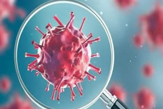 10 new cases push COVID-19 tally of Andamans to 3,858  COVID-19  Andaman and Nicobar Islands  Corona Virus  ആന്‍റമാന്‍-നിക്കോബാര്‍ ദ്വീപുകളില്‍ 10 പുതിയ കൊവിഡ് കേസുകൾ; ആകെ 3,858 രോഗബാധിതര്‍  ആന്‍റമാന്‍-നിക്കോബാര്‍  10 പുതിയ കൊവിഡ് കേസുകൾ  3,858 രോഗബാധിതര്‍  കൊവിഡ്