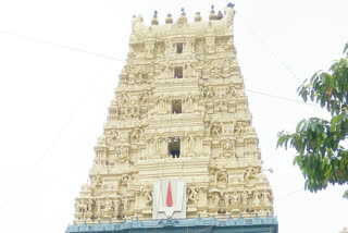 growing-flood-of-devotees-to-simhadri-appanna temple