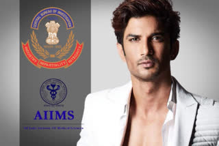 AIIMS forensic body hints at suicide, not murder in Sushant case