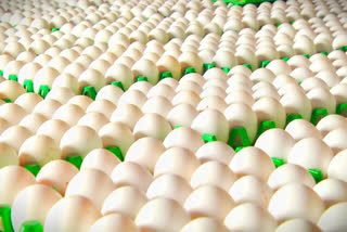 Egg price in Namakkal farms spiked to three years high