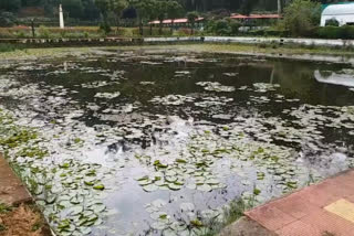 Bryant park in kodaikanal