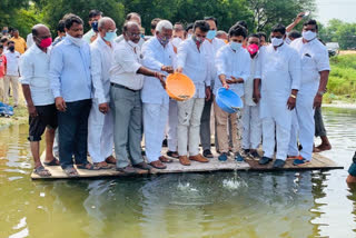 fish seed released in jeedimetla faks sagar pond in medchal district