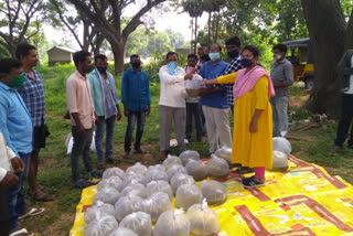 distribution of fish to tribal fishing farmers