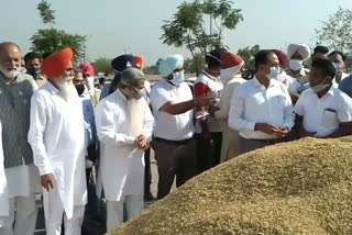 Paddy procurement started in Mullanpur Dakha Mandi by Minister Ashu