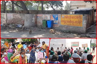 People started a personnel hunger strike in Modinagar due to terror of monkeys