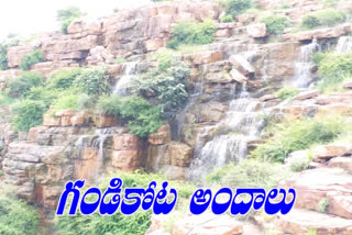 gandikota tourist place in Kadapa district