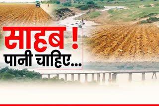 Farmers upset due to lack of rain in Shivpuri