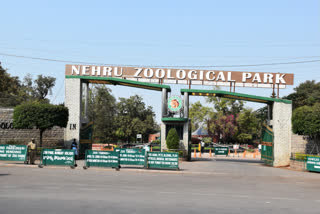nehru-zoological-park-will-open-from-the-6th-of-this-month