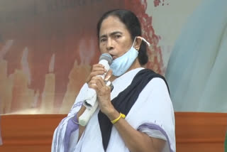 Mamata