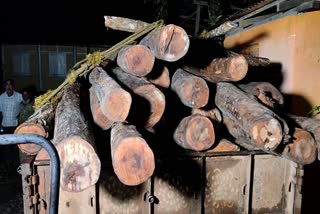 Illegal wood seized at Bilasipara