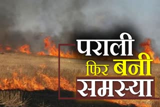 rohtak farmers on stubble burning