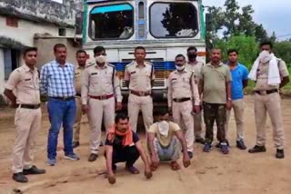 Two smugglers arrested with 14 cattle in ambikapur