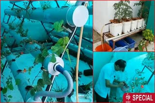 Farming with hydroponic system