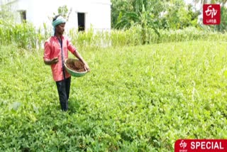 a family given awareness in organic farming at perambalur