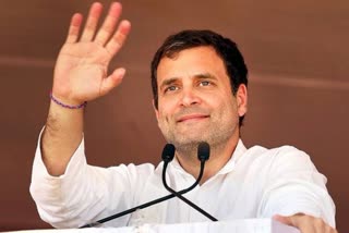 rahul gandhi haryana visit schedule