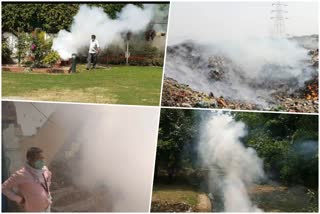 ndmc-team-will-take-action-on-burning-garbage-in-the-open-in-delhi-area