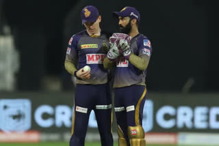 DC VS KKK : Morgan should lead KKR, surely not Karthik: Sreesanth