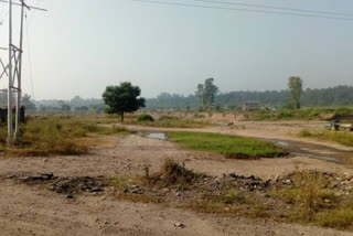 cowshed in Jahu panchayat