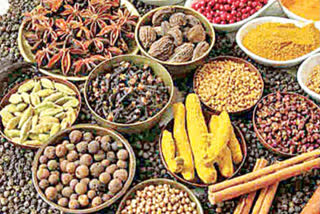 rise in exports of Indian spices