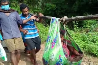 tribes-problems-with-dolis-for-medical-treatment-in-sringavarapukota-vizianagaram-district