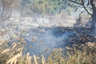 forest fire in purola