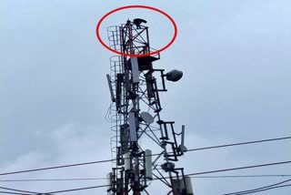 A young man climbs tower in DondiLohara