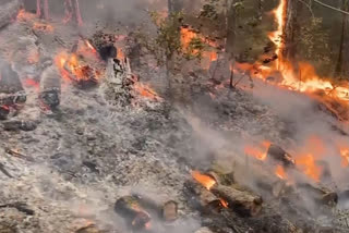 California forest fire