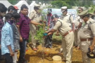 kadiri forest range officer plants a plant