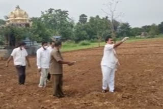 tulasi seeds are sown by annavaram eo