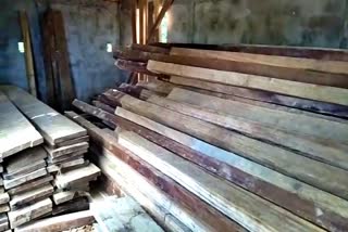 Smuggled timber seized from a house at Thabalpur Cachar
