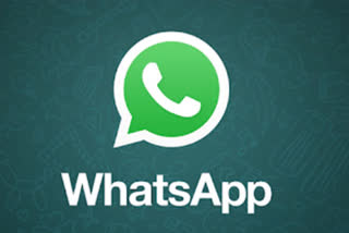Catalog Feature in Whatsapp