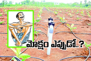 Allocations for micro farming