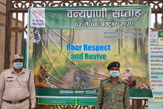 Bird Scene Program organized in  raipur  under Wildlife Week
