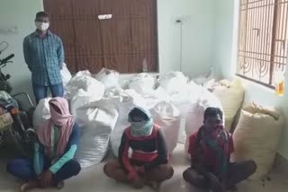 ganja seized in malkangiri