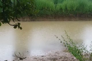 rain-continues-in-shahdol